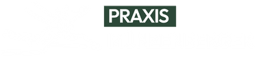 Physiotherapie Praxis Münzenberger Logo